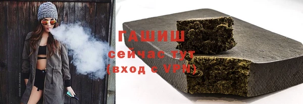 шишки Туринск