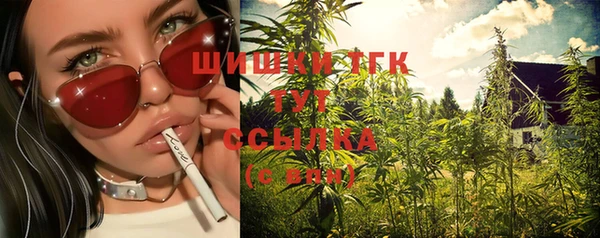 гидропоника Бугульма